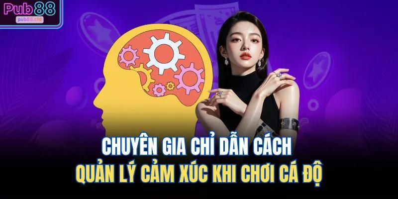 Chuyên gia chỉ dẫn cách quản lý cảm xúc khi chơi cá độ